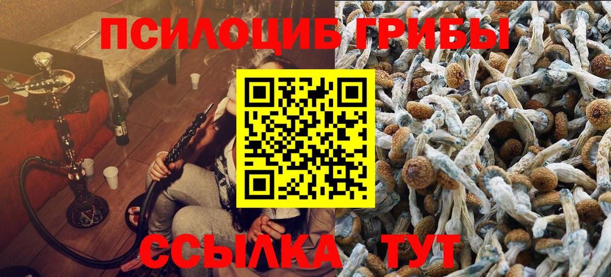 Галлюциногенные грибы Cubensis Сочи