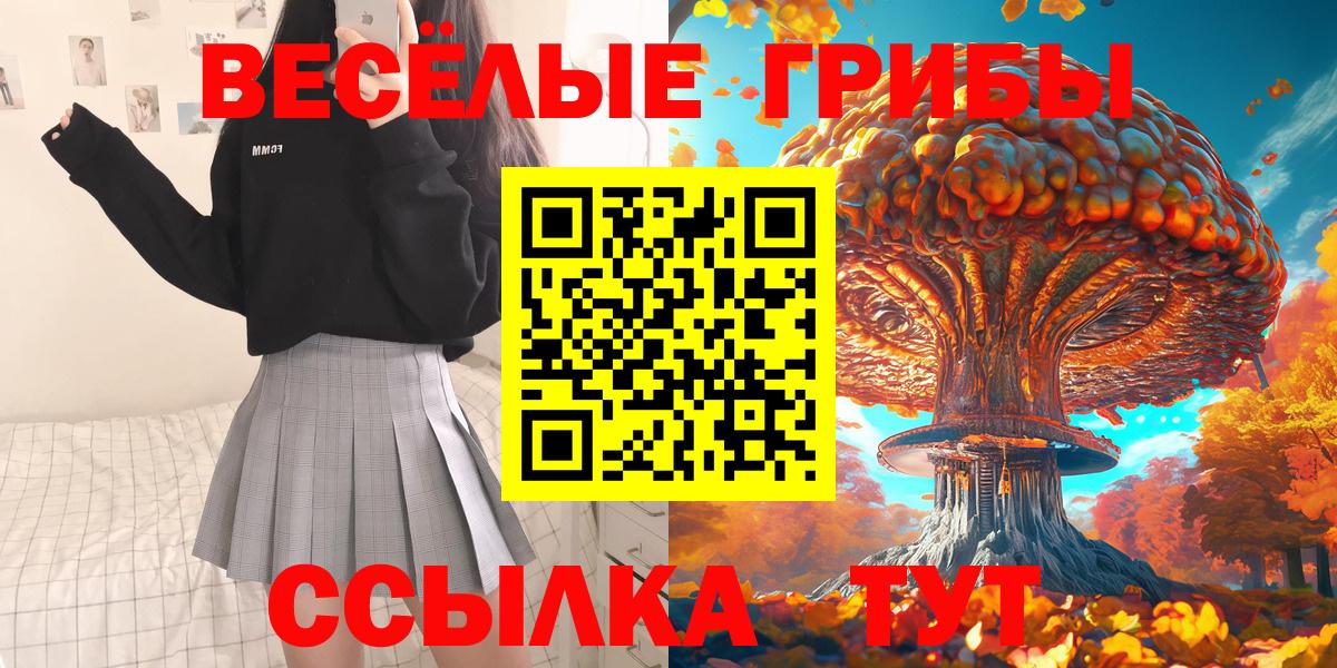 Сочи  Псилоцибиновые грибы MAGIC MUSHROOMS  Вход с VPN 